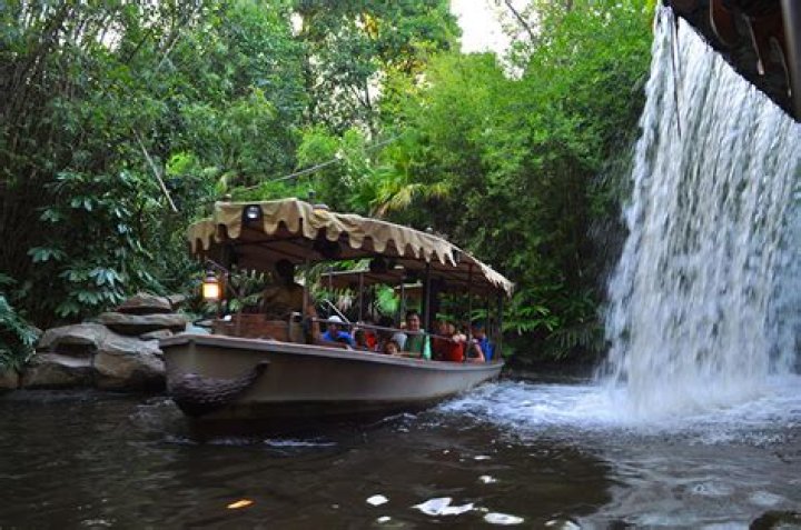 10 More Facts About the Jungle Cruise!
