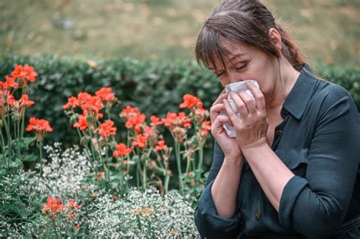 7 Plants and Trees in Your Yard That Are Making You Sneeze