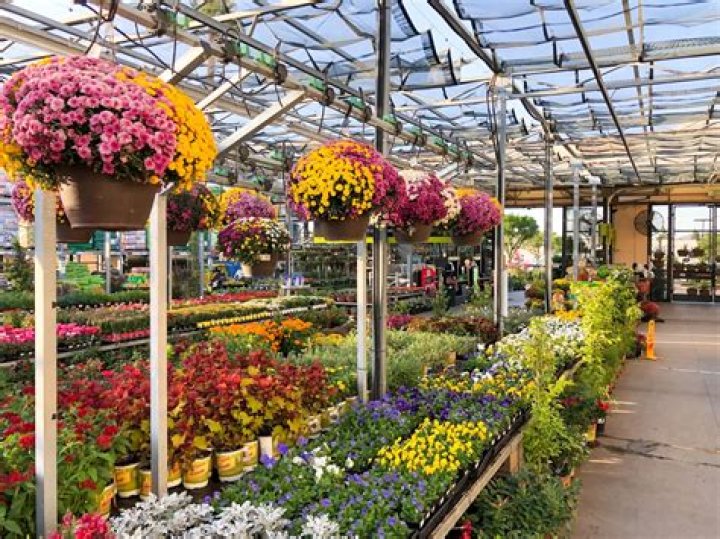 A Hack for Half Off Home Depot Garden Supplies — Best Life