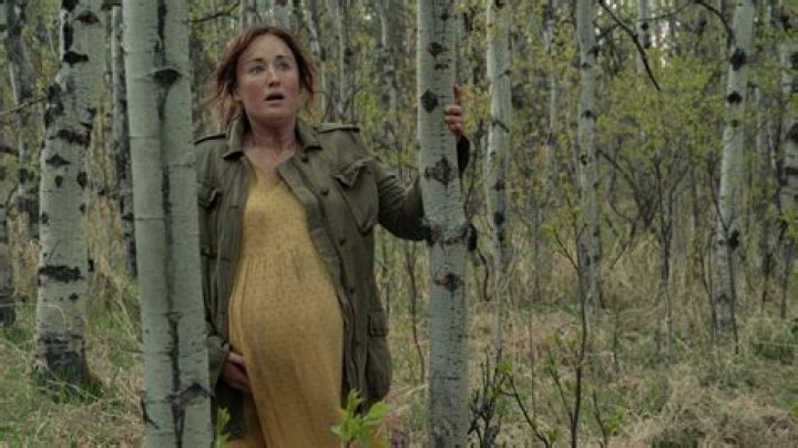 Ashley Johnson Net Worth | Celebrity Net Worth