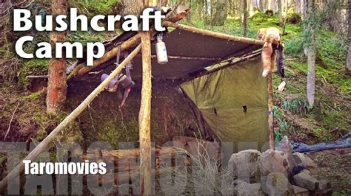 Bushcraft Bear video statistics