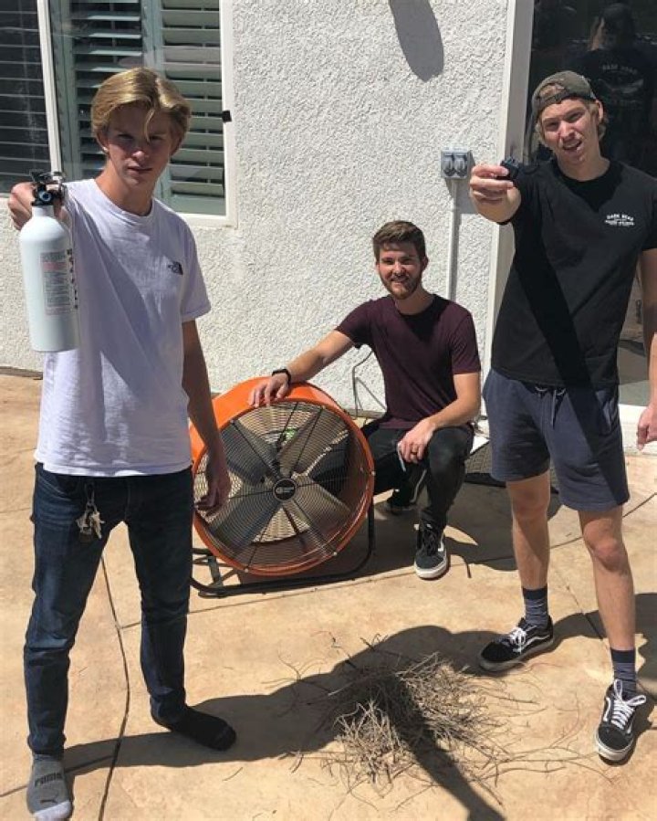 Dangie Bros net worth, income and estimated earnings of Youtuber channel