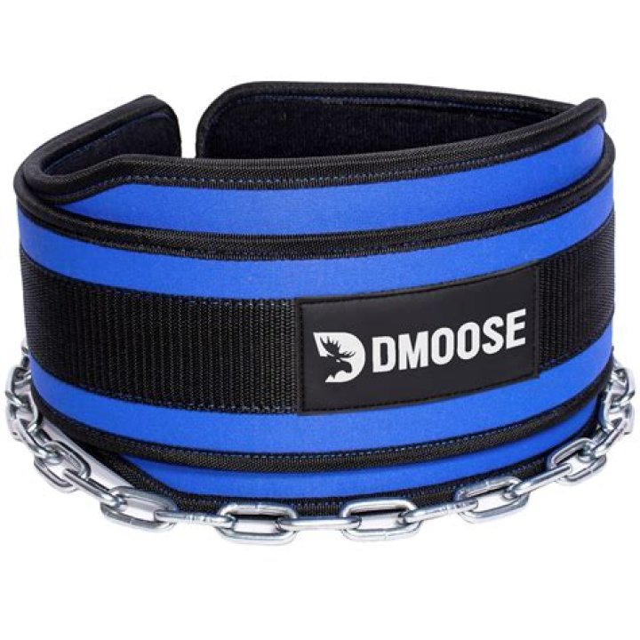 DMoose Fitness Premium Dip Belt Review