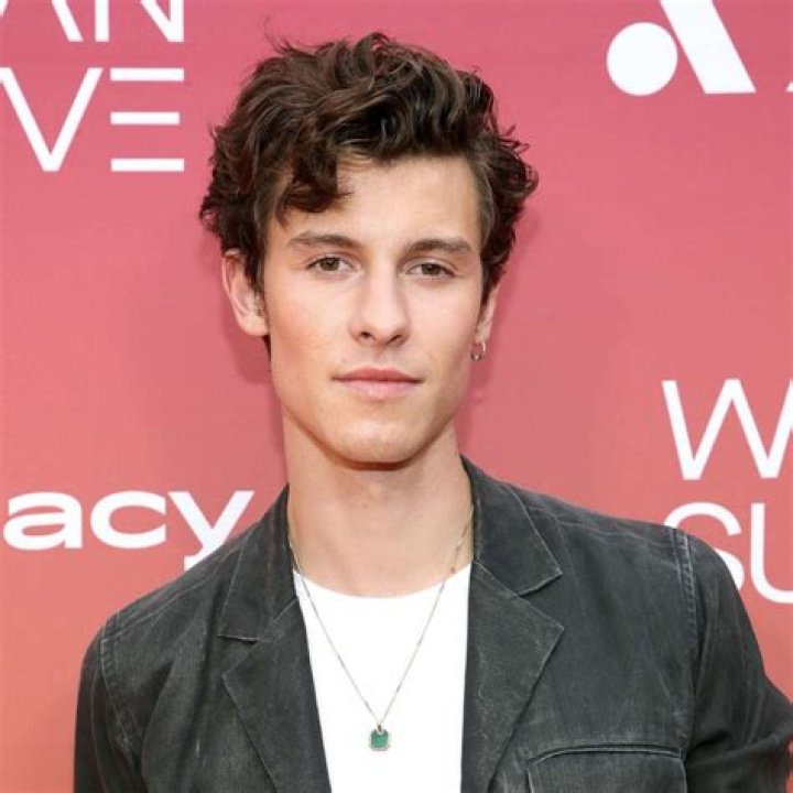Does Shawn Mendes Speak Spanish?
