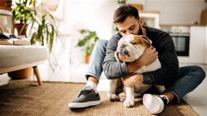 Dogs Cry With Joy When Their Owners Return Home, New Study Reveals