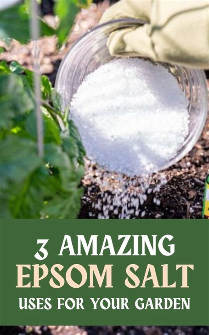 Epsom Salt May Revive Your Plants If They're Dying — Best Life