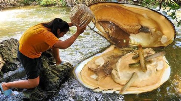 Fisherman Finds Giant Pearl, Hides Under His Bed For 10 Years... Turns Out It's Worth $100 Million