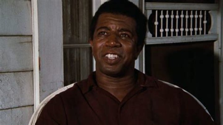 He Played Harley Foster on "The Waltons." See Hal Williams Now at 83.