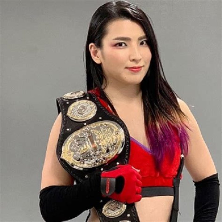 Hikaru Shida Bio, Age, Net Worth, New Belt, Championships, & Married
