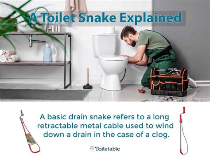How a Snake Can Get Into Your Home Through Your Toilet — Best Life