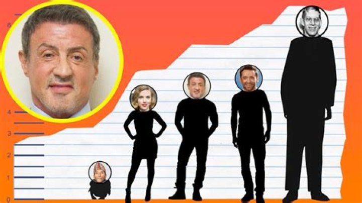 How Tall Is Sylvester Stallone Actually?