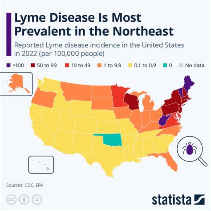 Lyme Disease Cases Have Spiked by 70 Percent—These Are the Warning Signs