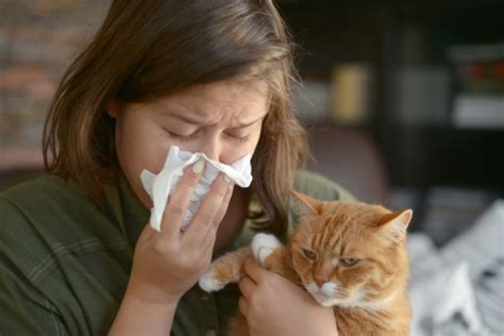 "Rabbit Fever" Is Spreading and Could Infect Humans, Health Officials Say