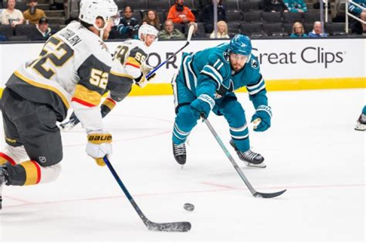 San Jose Barracuda's Player Adam Raska's Bio, Parents, Net Worth, Salary, Contract, Girlfriend, Relationship, Earnings, Stats