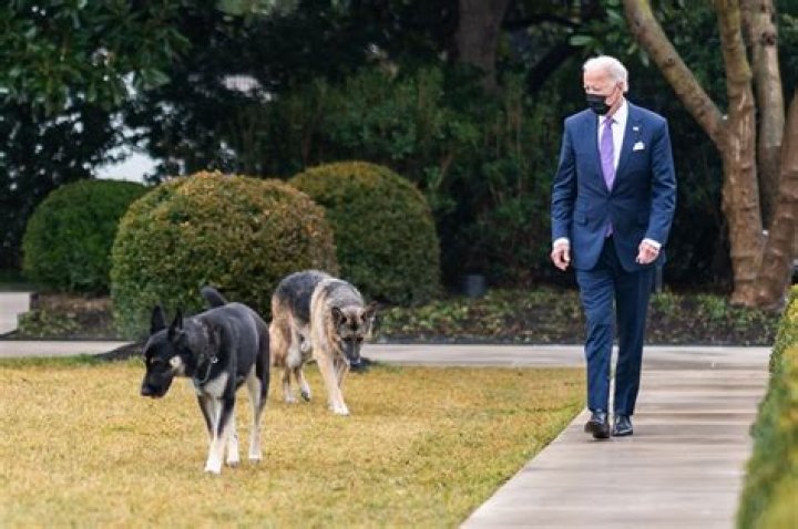 The Sweet Way the Bidens' First Dog Champ Biden Will Live on