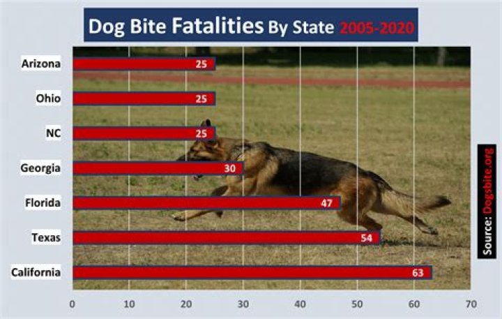 This Is the Most Dog-Friendly U.S. City in 2021, Data Shows