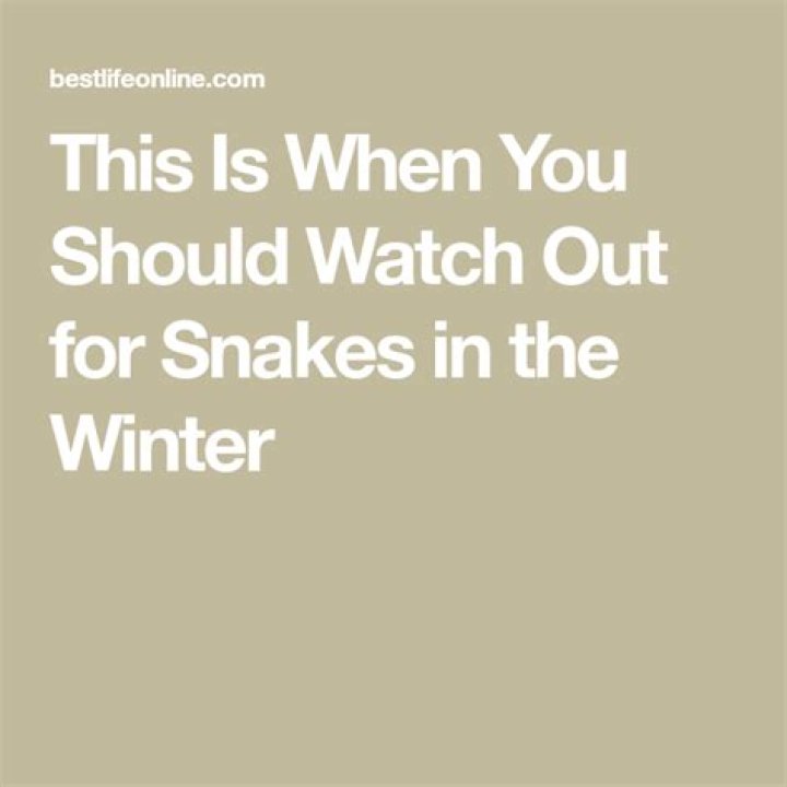 This Is When You Should Watch Out for Snakes in the Winter, Experts Say
