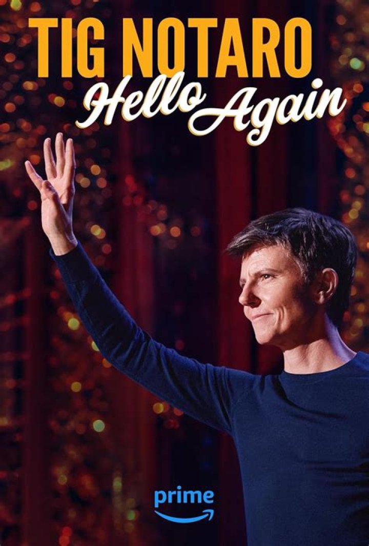 Tig Notaro - Bio, Age, Wiki, Facts and Family