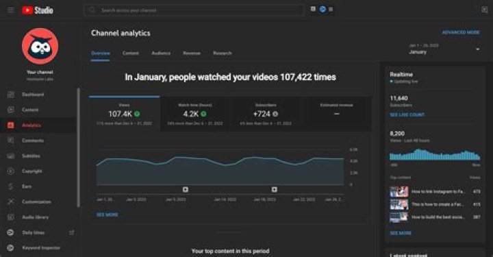 Verlisify Youtuber overview