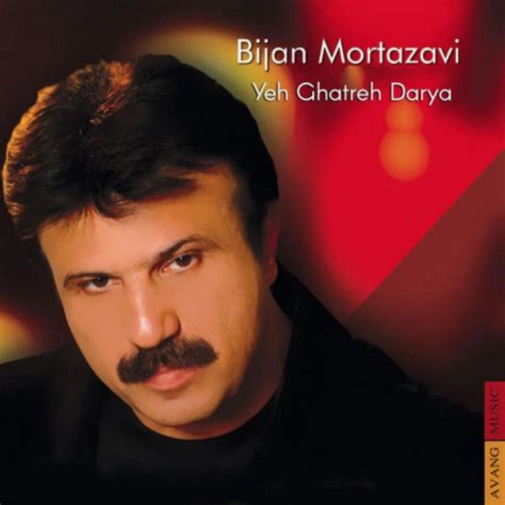 Who is Bijan Mortazavi Dating Now