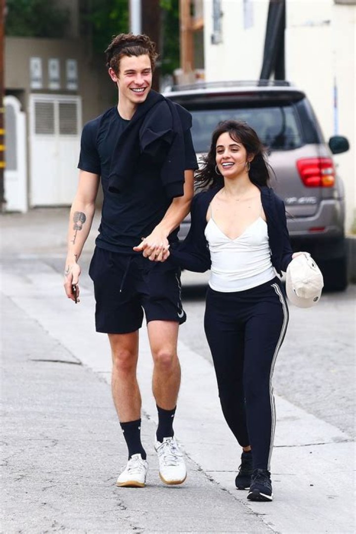 Who is Shawn Mendes Dating Now?