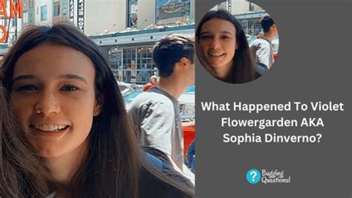 Who is Violet Flowergarden Dating Now