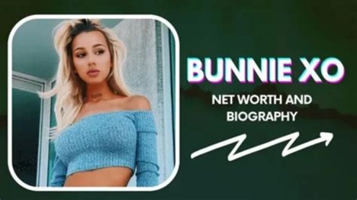 XO TEAM net worth, income and estimated earnings of Youtuber channel