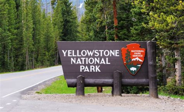 Yellowstone National Park Will No Longer Let Visitors Do This